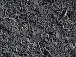 Black Mulch (Dyed)